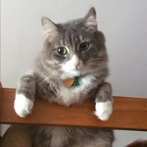 Meet your Posher, Karebie